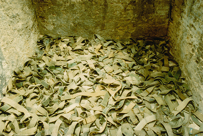 Christine Clinckx - Snake Pit Detail